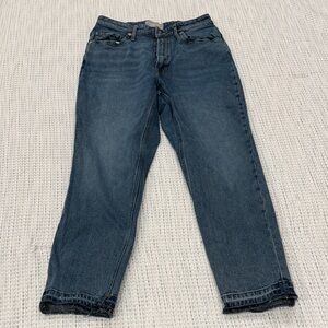 Classic Everlane Curvy Cheeky Crop Denim